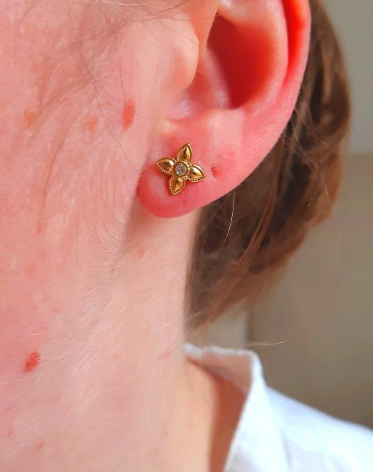 Puces en acier dorées Calie