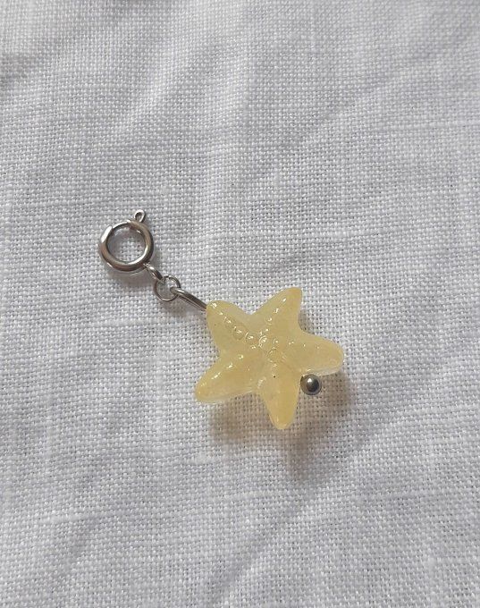Charm acier argenté Stella