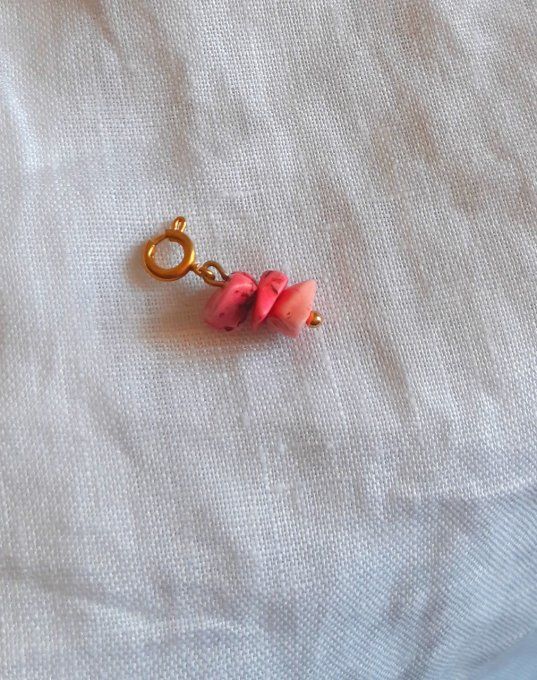 Charm acier doré pierres fushia Rosa